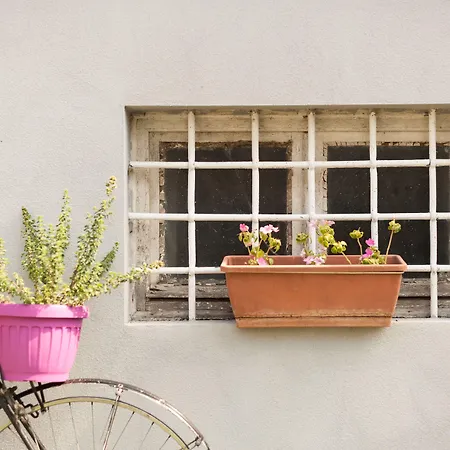 Bed & Breakfast Sunrise 3*